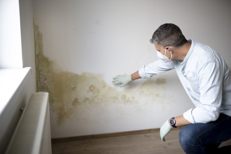 rising damp Leicester